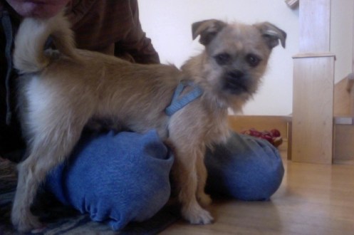 Photo on 1-16-16 at 10.14 AM