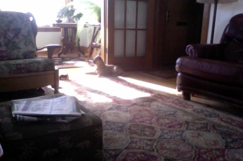 Photo on 1-27-16 at 11.51 AM