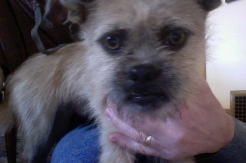 Photo on 1-16-16 at 10.15 AM #2