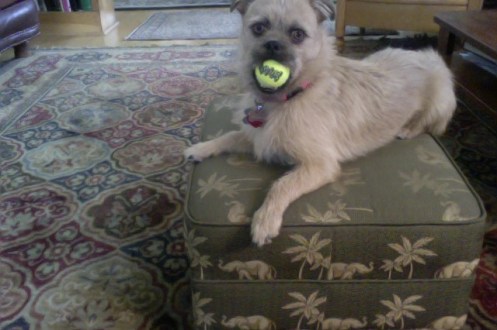 Photo on 3-3-16 at 1.51 PM