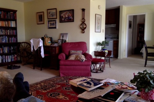 Photo on 3-24-17 at 11.46 AM